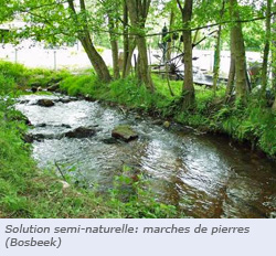 marches des pierres - Bosbeek
