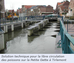 Petite Gette Tirlemont