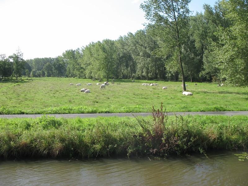 15_DF-51350.jpg