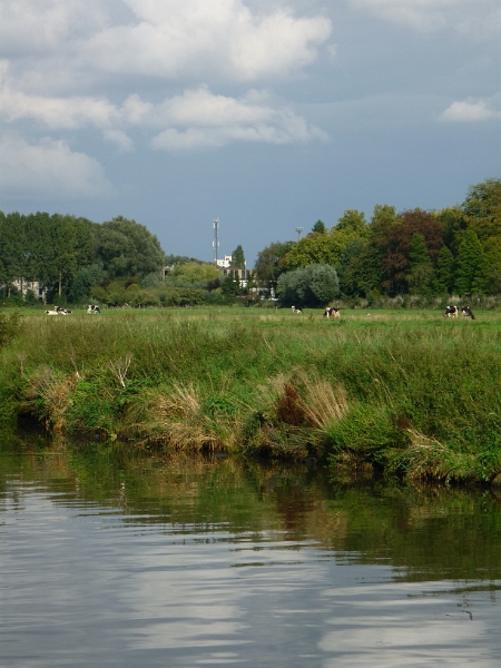 42_DF-62264.jpg