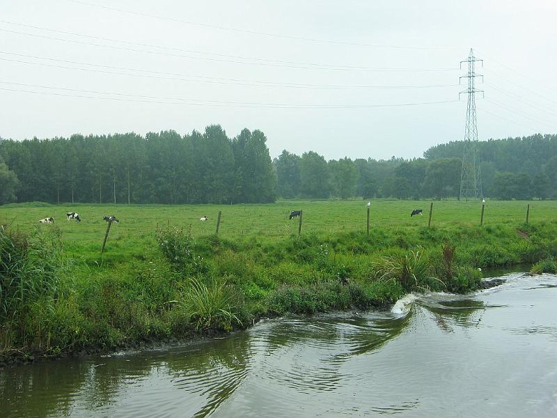 035_IMG_5204.jpg